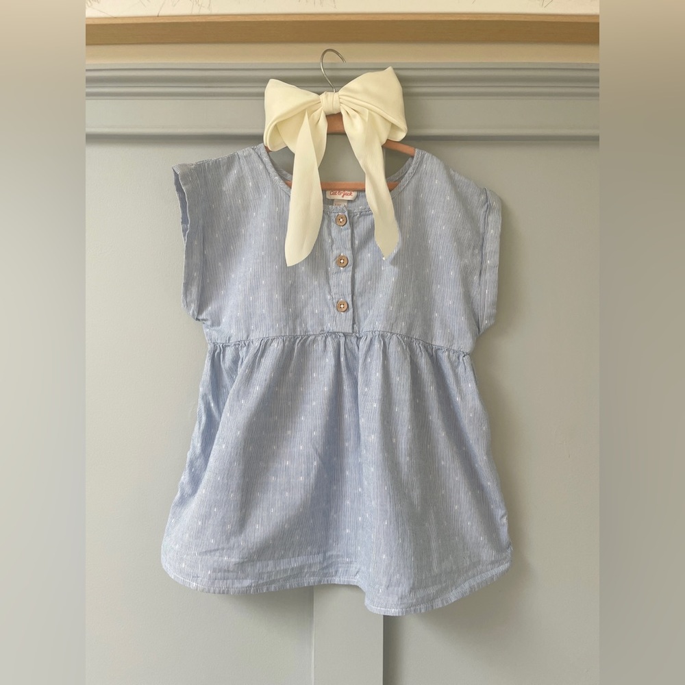 Cat & Jack Blue and White Seersucker + Raised Dot Empire + Pout Shirt Size 10/12